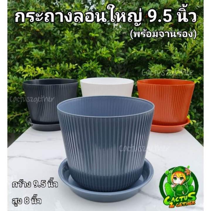 กระถางลายลอนขนาดใหญ่ขนาด9.5“/12”/15“(พร้อมจานรอง) | Lazada.co.th
