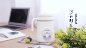 Portable Electric Kettle 600ml Mini Slow Cooker with Ceramic Inner Pot Small Hot Pot or Soup Congee Personal Stew Warmer