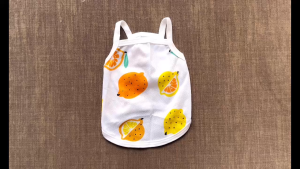 ÁO THUN HAI DÂY TRÁI CÂY THÔNG HƠI SIÊU CUTE TỪ 1-7.5KG DÀNH CHO THÚ CƯNG CHÓ MÈO