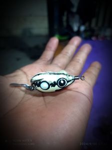 SF dindang " tengil 2 "