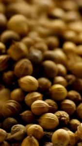 Greenola Coriander Seeds 1kg | 500g | 250g