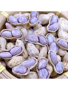 Sun Dried Five Spice Flavor Peanuts