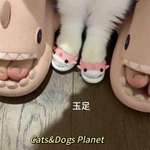 Special Design Pet Shoes: A Comprehensive Guide