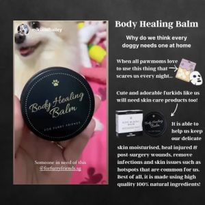 [For Furry Friends] Body Healing Balm 40g (For Dogs Only) | Specially Formulated For Superficial Wound Healing & Calming Itchy Skin