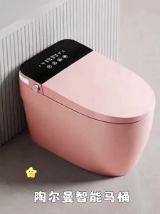TEM | Smart Toilet One-Piece Colorful Customizable