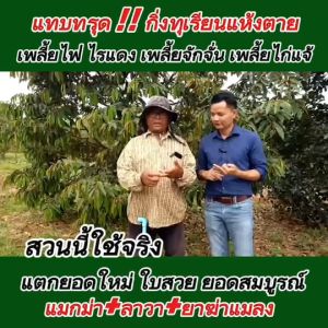 แมกม่า สามารถผสมสารได้ทุกชนิด #แมกม่าผสมได้ทั้งเคมี อินทรีย์ และชีวภัณฑ์ คือได้ทุกชนิด