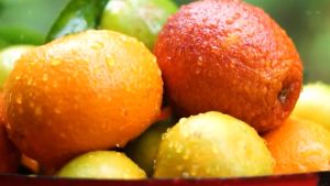 Royale Grocer Slimmers Paradise Fresh Fruit Package