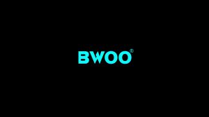 BWOO BW-74 Rotary Wireless Earbuds Bluetooth Waterproof 5.1 BT Version / Sports Earbuds / True Wireless Stereo / Compatible for any Phones