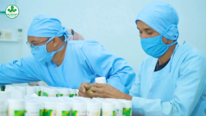 GANG JIE + GALGIN KAROMAH De Nature PAKET OBAT PELURUH BATU GINJAL KENCING BATU PALING AMPUH