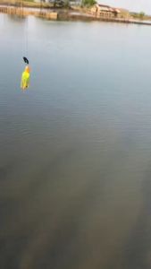 Chatter Bait Mini 3cm 10gr Double Hook Ose Nusantara Fluofish Snakehead & Bass Speacialist Umpan Casting Gabus Toman Cutterbait Chatterbait