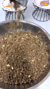 thức ăn hạt SC và S kèm topping và men vi sinh (túi 500gr và 15kg) dành cho mèo - T3 PETS SHOP