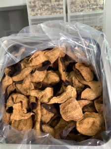 2012 Dongjia Niu Biwai Winter after Red Tangerine Peel Canned Xinhui Specialty