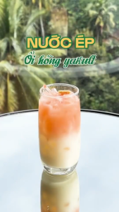 COMBO 10 Viên  - Nước Ép Trái Cây Sấy Thăng Hoa Ovita - Giữ Vẹn Hương Vị Tươi - Hộp 5 Vị
