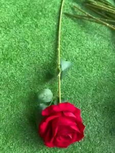 Cành Hoa Hồng Nhung Cao Cấp.dùng trang trí nhà cửa bó cắm tặng