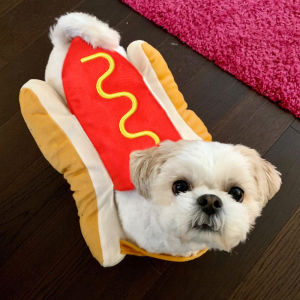 Cute Dog Clothes Hot Shaped Outfits Funny Halloween Costume for Small Medium Large Dogs Cats Party Cosplay Apparel