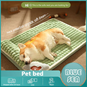 Warm & Comfortable Pet Mats: A Guide to Choosing the Best