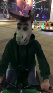 HOT Shrek Poor Mouth Donkey  Makeup Ball Props Donkey Head Animal  Halloween Horror Ghost Latex Headgear