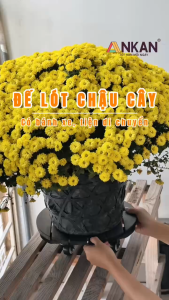 Đế Lót Chậu Hoa Có Bánh Xe ANKAN Đế Để Chậu Cây Màu Đen Walnut R30 Cm Tải 120kg