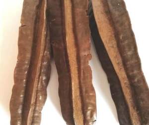 apleura tetraptera /prekese a good herb that is rich in vitaminsminerals.