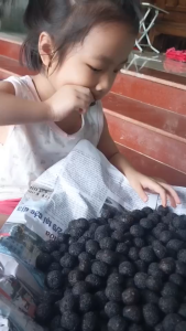 Viên Hà Thủ Ô Mật Ong Vừng ĐenLọ 1 KG lᴏại 1 Đặc Biệt Bổ Thận Bổ Huyết hỗ trợ Giảm Rụng Tóc Bạc Tóc Sớm