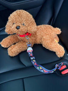 DINGBEIQI | High Elasticity Car Pet Safety Belt