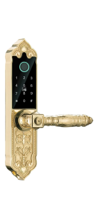 Khóa cửa vân tay thông minh Hubert HB DS79 mini mạ vàng 24k app wifi chính hãng công nghệ Đức