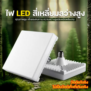หลอดไฟ LED หลอดLED ขั้วE27 หลอดไฟกลม ใช้ไฟฟ้าบ้าน 220V หลอดไฟE27 แสงสว่างนวลตา