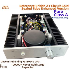 Class A Amplifier HIFI Audio 25 Tube King