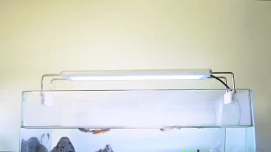 Đèn LED bể cá cảnh Xuanmeilong XML 20-90cm ánh sáng tự nhiên
