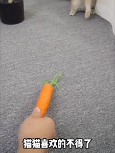 ⚡การจัดส่งที่รวดเร็ว⚡ตุ๊กตาปลา ของเล่นตุ๊กตาสัตว์เลี้ยง รูปการ์ตูนมิ้นท์ แบบโต้ตอบ และขี้เกียจ ของเล่นสําหรับแมว🐱