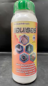 แอนเธอร์ 1 ลิตร เอนไซม์ ไฮโดรไลติค 1.5% SL หนอนกระทู้ กำจัดหนอนทุเรียน หนอนกระทู้ข้าวโพด ราคาตั้ง 5-200 ลิตร