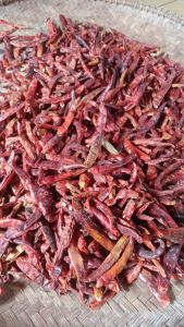 MURAH ( 1kg ) CENGEK/CABE RAWIT TEJA CAPLAK KERING TANPA TANGKAI KULITAS SUPER PEDASSSS