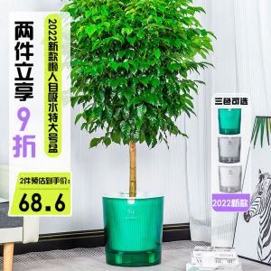 Bean Bag Basin Self-Absorbent Bird of Paradise Areca Palm Pachira Macrocarpa Indoor Living Room Floor Special High Deep Large Thick Flower Pot