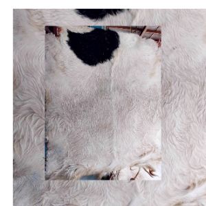 KULIT KAMBING KERING UKURAN JUMBO (BEDUG GENDANGREBANA)