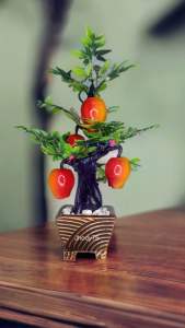 bunga/bonsai buah kayu - BM