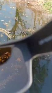 เลนส์อีเกิลอายส์แท้100% แว่นตัดแสงยิงปลา - นิยมใส่ยิงปลา ตกปลากันมากที่สุด