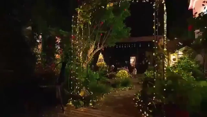 12M/7M Solar Lights LED Fairy String Lights Waterproof 8 Lighting Modes String Lights For Garden Patio Tree Wedding Christmas Valentines Day Birthday Party Atmosphere Solar LED Light String