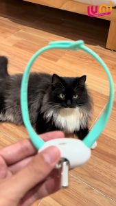Kalung Laser Mainan Kucing Collar Lampu Laser LED Aksesoris Hewan Peliharaan Dengan Dua Mode Cara Bemain