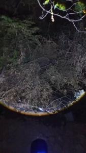 🐸ไฟฉายสว่างมากๆ ไฟฉายคาดหัวแท้ 2สี ไฟฉายแรงสูง แท้LEDไฟฉายคาดหัว20000Wไฟ ฉาย คาด หัว แบตเตอรี่คู่ในตัว ไฟส่องกบคาดหัว ไฟคาดหัวแบตอึด ไฟคาดหัวแรงสูง หัวไฟฉายคาดหัว กันน้ำ ไฟคาดหัว ไฟฉายส่องกบ ไฟฉายเดินป่า หน้าไฟคาดหัว หม้อแบตคาดหัว ไฟสายคาดหัว ไฟส่องสัตว์