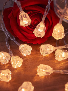 BEAUTY IN THE LIGHT | Romantic Flash String Lights