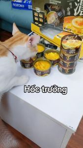 Pate cho mèo Furry Tail 85°C thượng hạng phiên bản 2024 Thức ăn cho mèo ướt cao cấp lon 85g - Fairy Marina