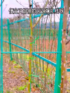 100M Garden Tie Wire With Cutter Twist Tie For Garden Vegetable Plants With Free Cable Tires