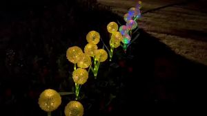 1 pcs Solar Dandelion Stake Lights Colorful LED Waterproof Outdoor Garden Lights for Yard and Patio Camping Decoration