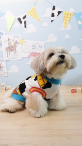 Bark & Spark Official Disney Pet Clothes XS–XL – Toy Story Mickey & Friends Disney Princess