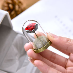 Light Encounter Little Princes Glass Cover Rose Preserved Fresh Flower Gift for Girlfriend Girlfriend Boyfriend Valentines Day Birthday Gift