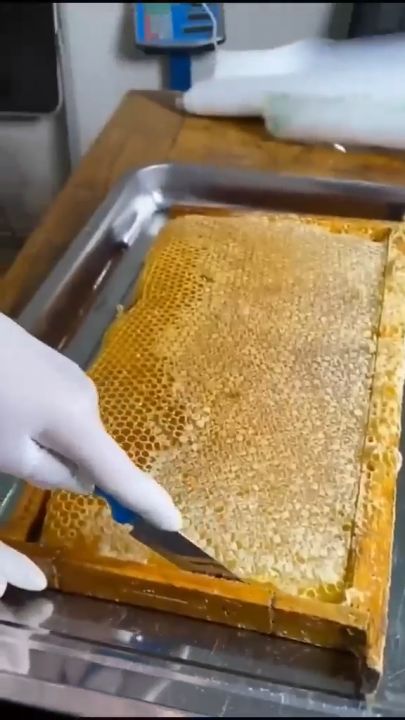 Honeycomb Madu Sarang Lebah YamanY Pure Raw Honey Comb 500g /350g