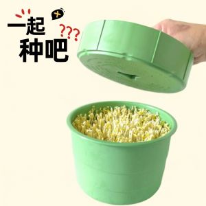 Waterless Bean Sprout Canister: A Must-Have Home Use Peanut & Green Bean Seedling Tray