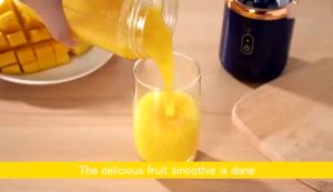 Portable Electric Juicers & Blenders: A Comprehensive Guide