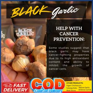 Black Garlic Healthy Fermented Whole Black Garlic 5 cloves Bawang Itim fermented vegetables highblood cancer seasoning