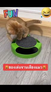 Cat Playing Toy Turntable Pet Cat Turntable Catch Mouse Training Turntable Toy Cat Turntable Kucing Mainan Permainan
